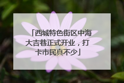 西城特色街区中海大吉巷正式开业，打卡市民真不少