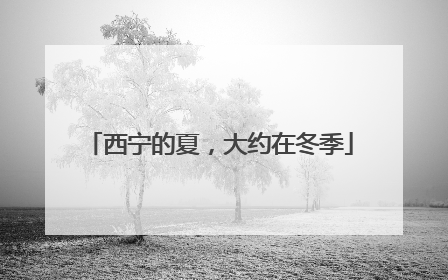 西宁的夏，大约在冬季