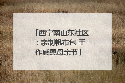 西宁南山东社区：亲制帆布包 手作感恩母亲节