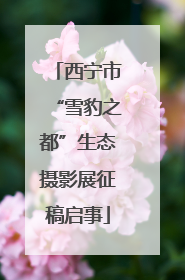 西宁市“雪豹之都”生态摄影展征稿启事
