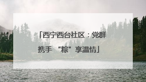 西宁西台社区：党群携手 “粽”享温情