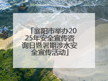 襄阳市举办2025年安全宣传咨询日暨暑期涉水安全宣传活动
