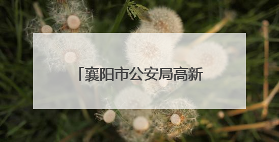 襄阳市公安局高新分局多措并举护航高考 助力学子圆梦