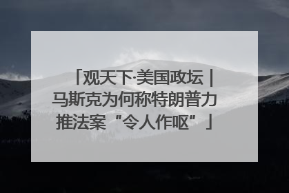 观天下·美国政坛｜马斯克为何称特朗普力推法案“令人作呕”