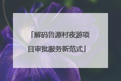解码鲁源村夜游项目审批服务新范式