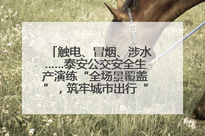 触电、冒烟、涉水……泰安公交安全生产演练“全场景覆盖”，筑牢城市出行“安全生命线”