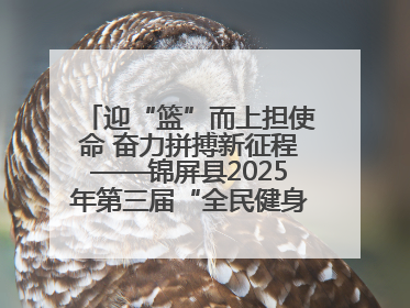 迎“篮”而上担使命 奋力拼搏新征程——锦屏县2025年第三届“全民健身·悦动锦屏”篮球赛圆满闭幕