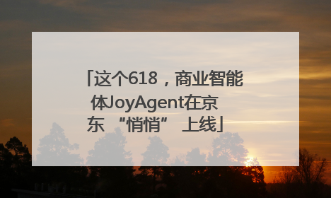 这个618，商业智能体JoyAgent在京东 “悄悄” 上线