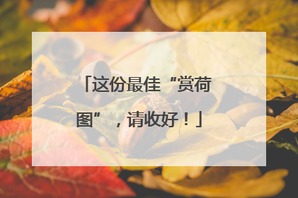 这份最佳“赏荷图”，请收好！