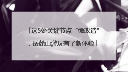 这5处关键节点“微改造”，岳麓山游玩有了新体验