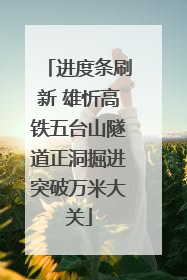 进度条刷新 雄忻高铁五台山隧道正洞掘进突破万米大关