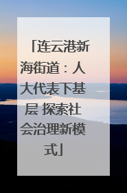 连云港新海街道：人大代表下基层 探索社会治理新模式