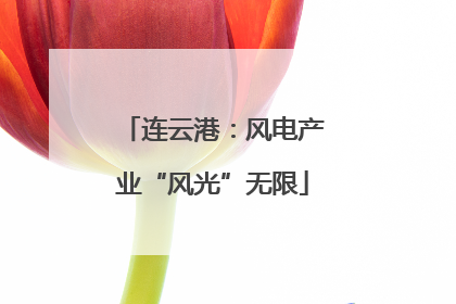 连云港：风电产业“风光”无限