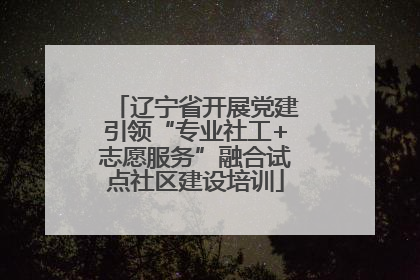 辽宁省开展党建引领“专业社工+志愿服务”融合试点社区建设培训