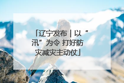 辽宁发布｜以“汛”为令 打好防灾减灾主动仗
