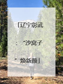 辽宁彰武：“沙窝子”焕新颜