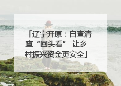 辽宁开原：自查清查“回头看” 让乡村振兴资金更安全