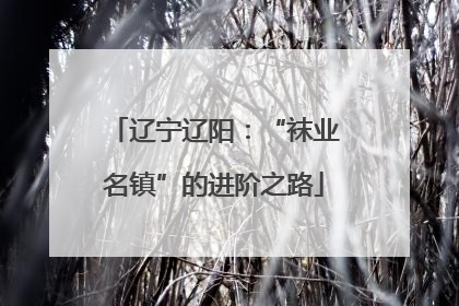 辽宁辽阳：“袜业名镇”的进阶之路
