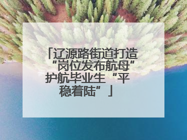 辽源路街道打造“岗位发布航母” 护航毕业生“平稳着陆”