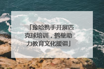 豫哈携手开展匹克球培训，鹤壁助力教育文化援疆
