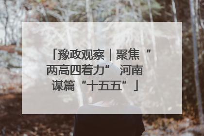 豫政观察｜聚焦“两高四着力” 河南谋篇“十五五”