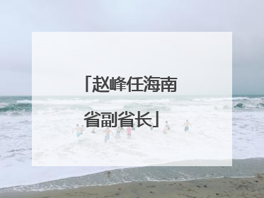 赵峰任海南省副省长