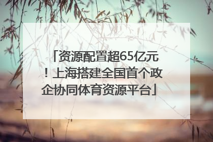 资源配置超65亿元！上海搭建全国首个政企协同体育资源平台