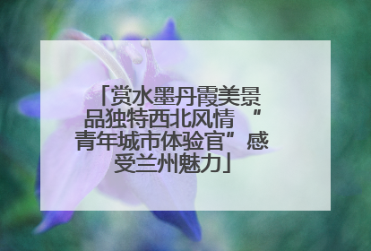 赏水墨丹霞美景 品独特西北风情 “青年城市体验官”感受兰州魅力