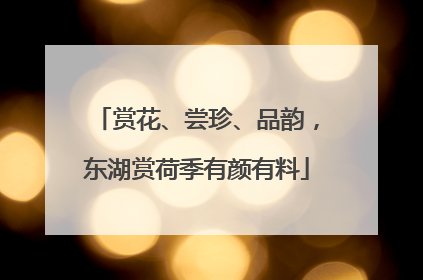 赏花、尝珍、品韵，东湖赏荷季有颜有料