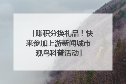 赚积分换礼品！快来参加上游新闻城市观鸟科普活动