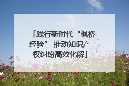 践行新时代“枫桥经验” 推动知识产权纠纷高效化解