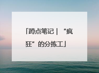 蹲点笔记｜“疯狂”的分拣工