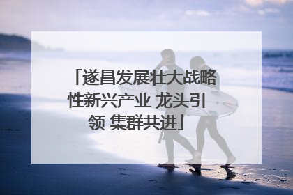 遂昌发展壮大战略性新兴产业 龙头引领 集群共进