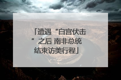 遭遇“白宫伏击”之后 南非总统结束访美行程
