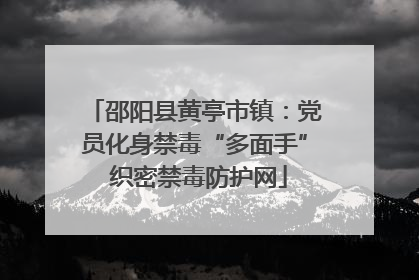 邵阳县黄亭市镇：党员化身禁毒“多面手” 织密禁毒防护网