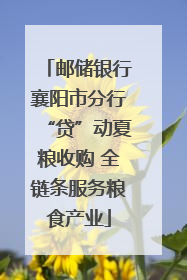 邮储银行襄阳市分行“贷”动夏粮收购 全链条服务粮食产业
