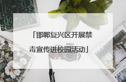 邯郸复兴区开展禁毒宣传进校园活动