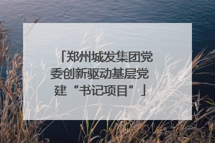 郑州城发集团党委创新驱动基层党建“书记项目”