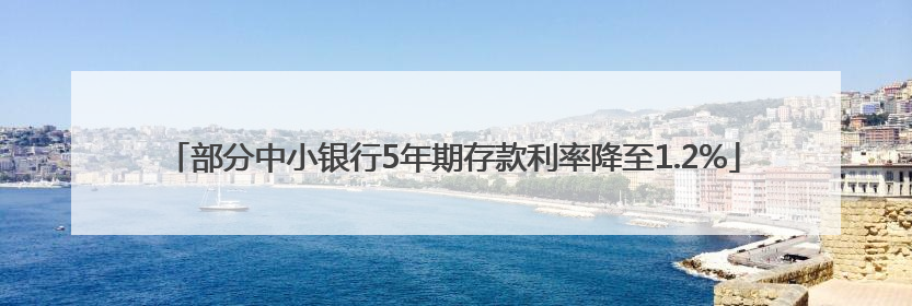 部分中小银行5年期存款利率降至1.2%