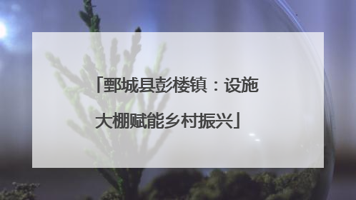鄄城县彭楼镇：设施大棚赋能乡村振兴