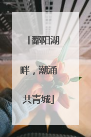 鄱阳湖畔，潮涌共青城