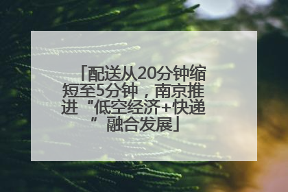 配送从20分钟缩短至5分钟，南京推进“低空经济+快递”融合发展