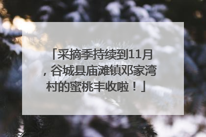 采摘季持续到11月，谷城县庙滩镇邓家湾村的蜜桃丰收啦！