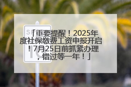 重要提醒！2025年度社保缴费工资申报开启！7月25日前抓紧办理，错过等一年！