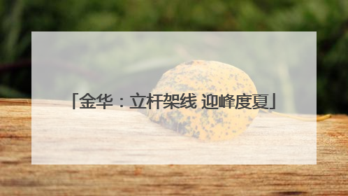 金华：立杆架线 迎峰度夏