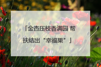 金杏压枝香满园 帮扶结出“幸福果”