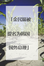 金民锡被提名为韩国国务总理