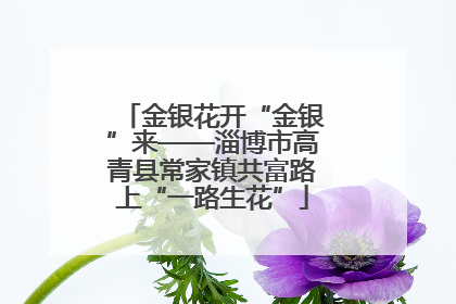 金银花开“金银”来——淄博市高青县常家镇共富路上“一路生花”