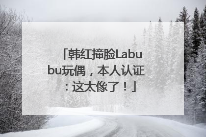 韩红撞脸Labubu玩偶，本人认证：这太像了！