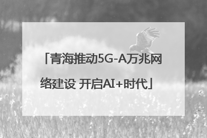 青海推动5G-A万兆网络建设 开启AI+时代